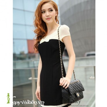 Đầm Cami Phối Màu